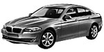 BMW F10 P170B Fault Code